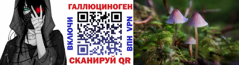 Псилоцибиновые грибы Psilocybe  купить наркоту  Среднеколымск 